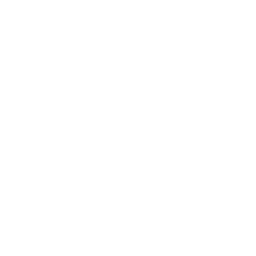 LA BIRRA Logo